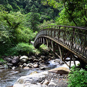 九寮溪生態園區