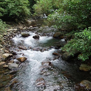 九寮溪生態園區2