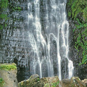 礁溪線觀光行程2