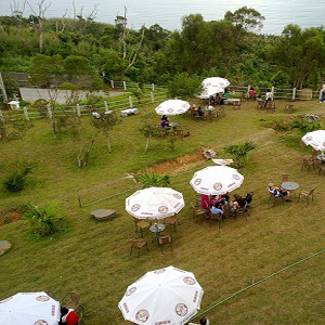 伯朗城堡咖啡館2