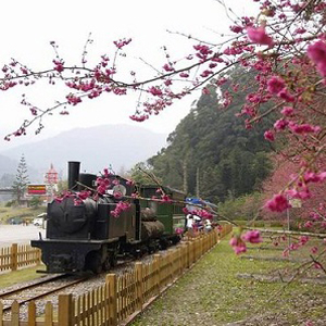 太平山森林遊樂區3