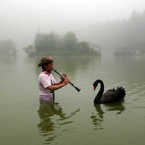 明池國家森林遊樂區3