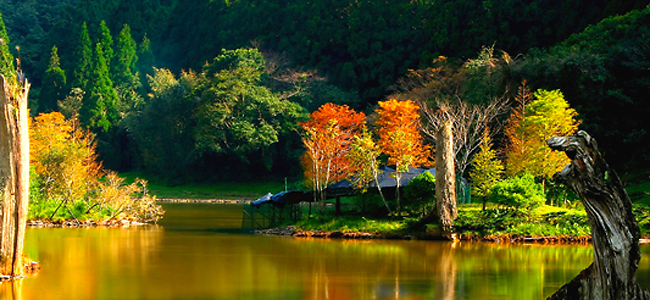 明池國家森林遊樂區