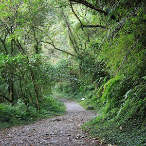 松羅國家步道2