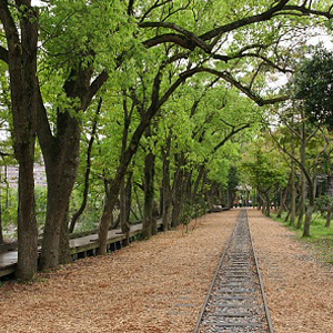 羅東林業文化園區2